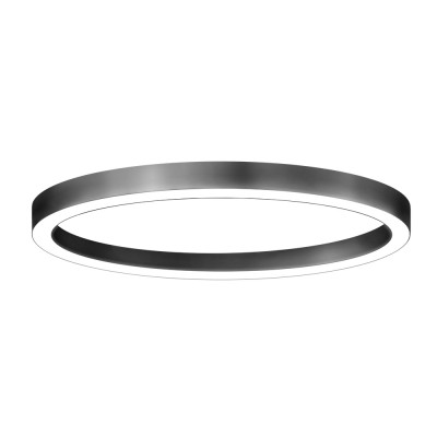 Декоративный светильник HOLE-RING-P-1600-119 Декоративный светильник HOLE-RING-P-1600-119