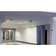 Аварийная подсветка ДПА 2101-С централизованного питания без акб 24/220В IP20