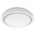 Светодиодный светильник Smart WiFi ORBIS MOON RD480 TW GR Светодиодный светильник Smart WiFi ORBIS MOON RD480 TW GR